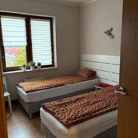 Stary Toruń Apartament Jozefa מראה חיצוני תמונה